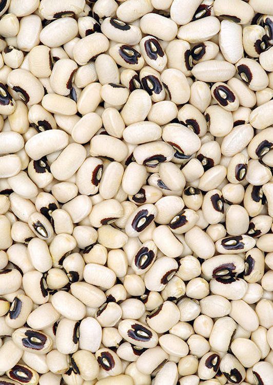 Close up photo of black eyed beans / chavali / lobia