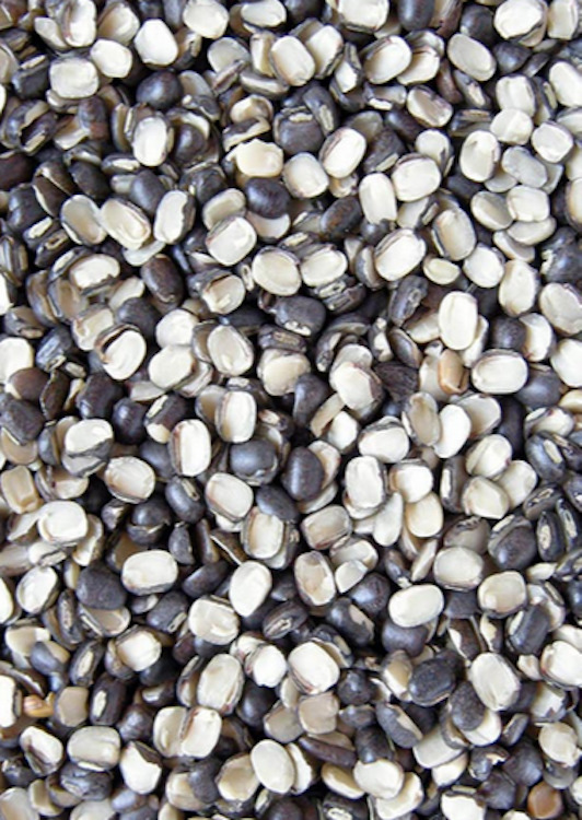 Close up photo of split urad dal / lentils