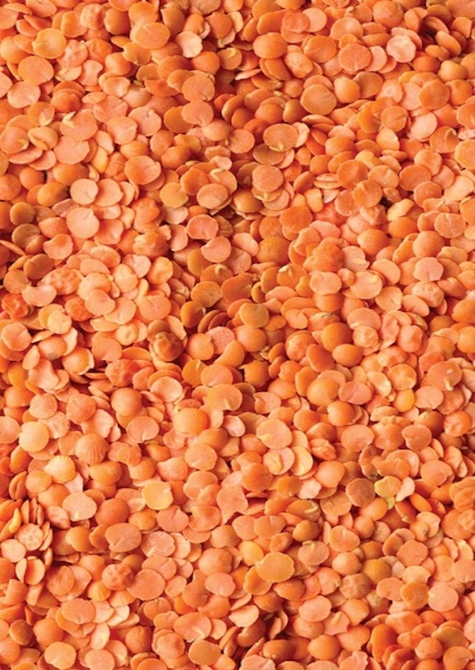 Close up photo of red split lentils, masoor dal