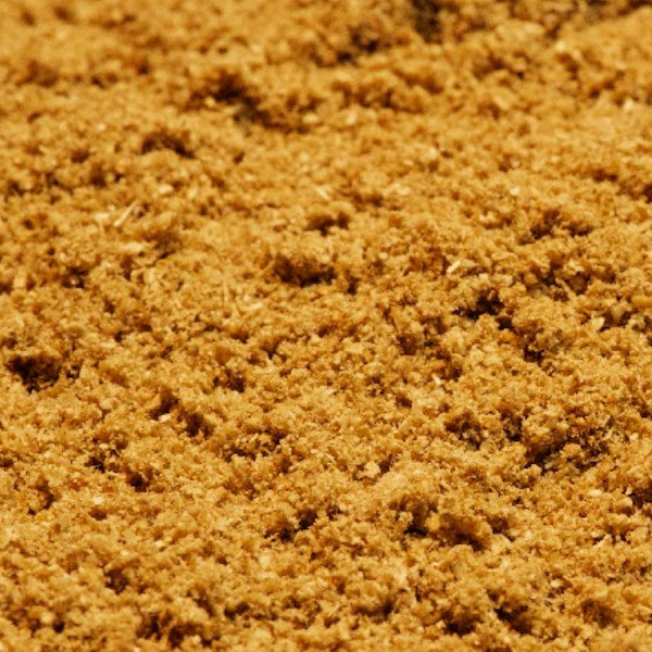 Close up photo of Indian spice coriander powder