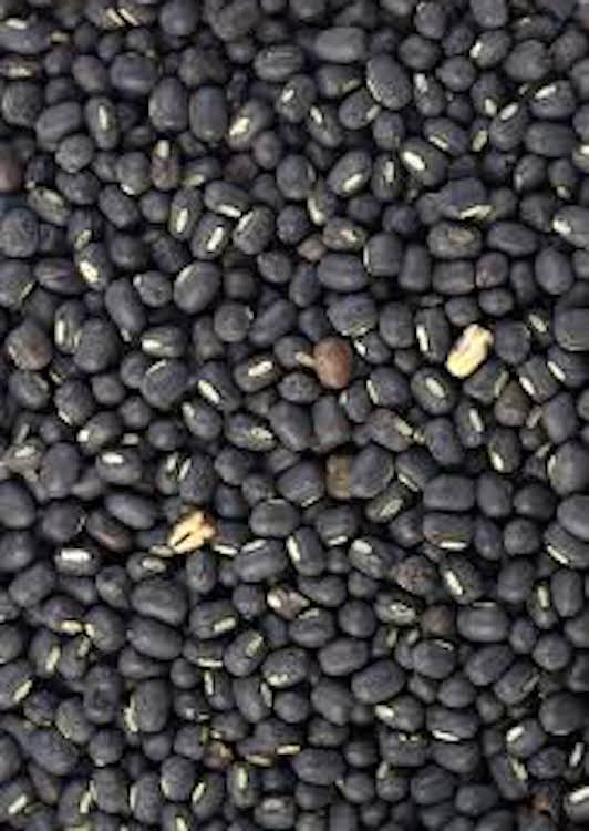 Close up photo of black whole urad beans / dal