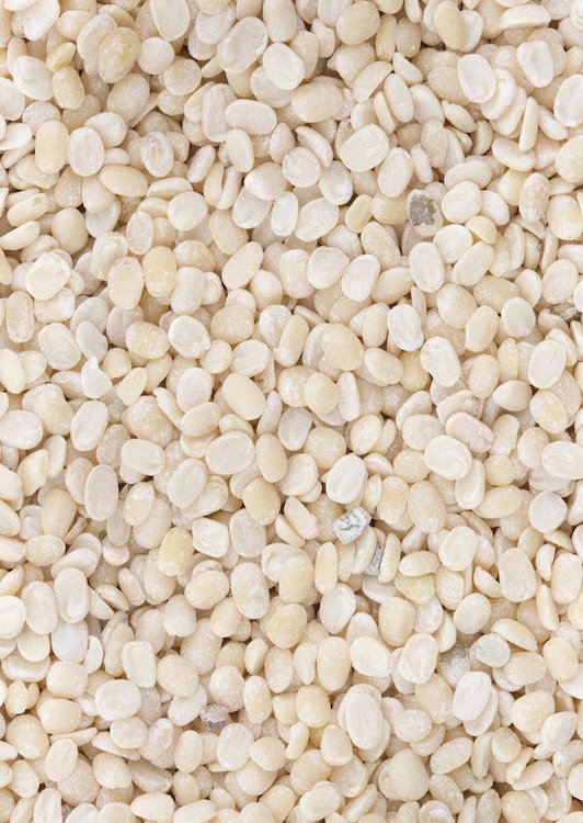 Close up photo of white split urad dal lentils
