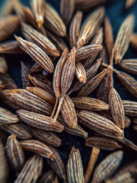 Close up detail shot of cumin seeds