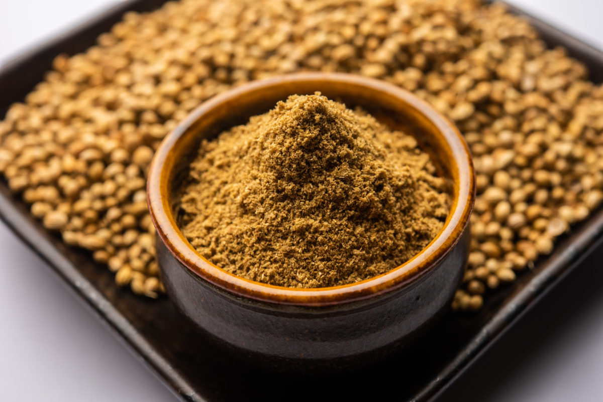 A small bowl of coriander powder, with blurry whole coriander seeds in the background.