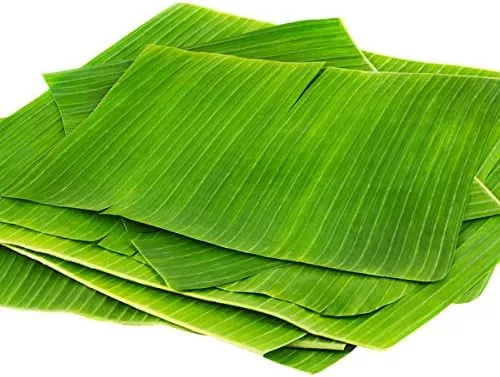 Fresh Banana Leaves